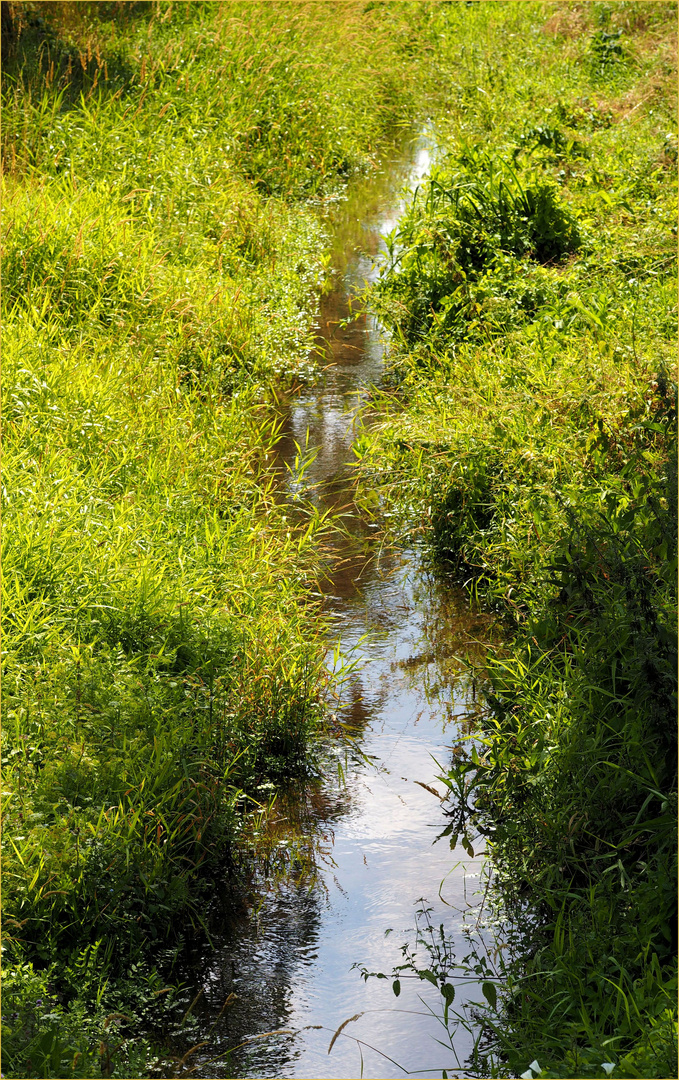 Zum Thema "WASSERNOT"