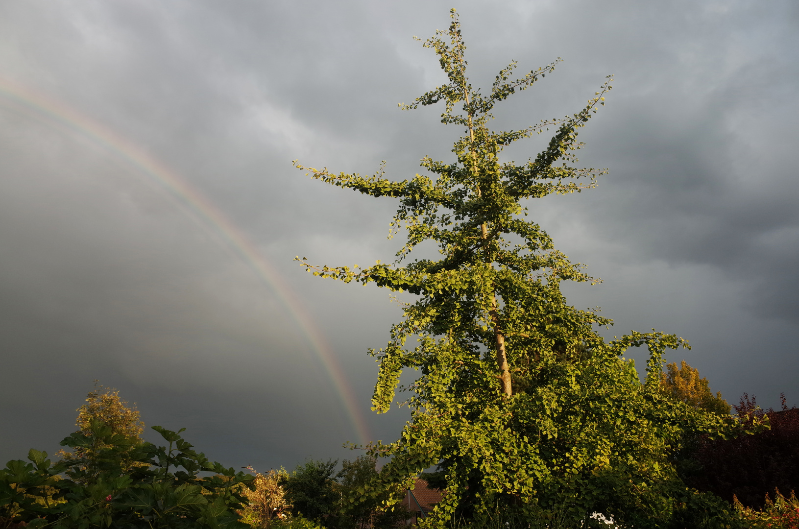 ZUM THEMA: Wetter