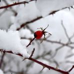 zum Thema "Winterzauber"