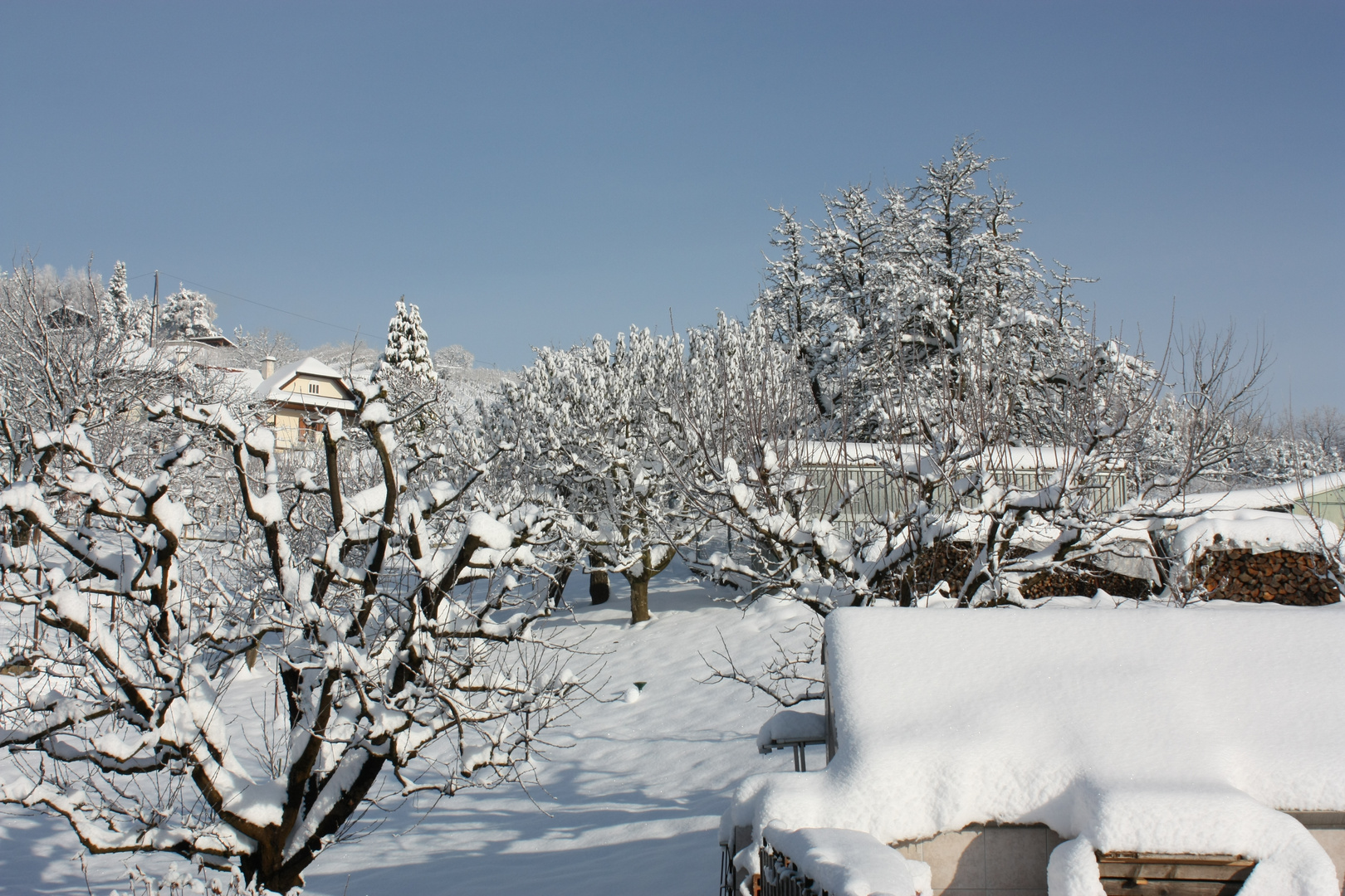 Zum Thema "Winterzauber"