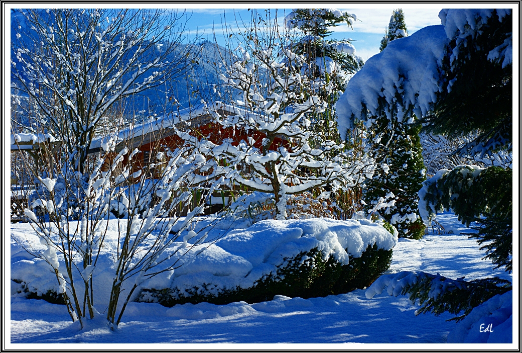 ZUM THEMA: Winterzauber