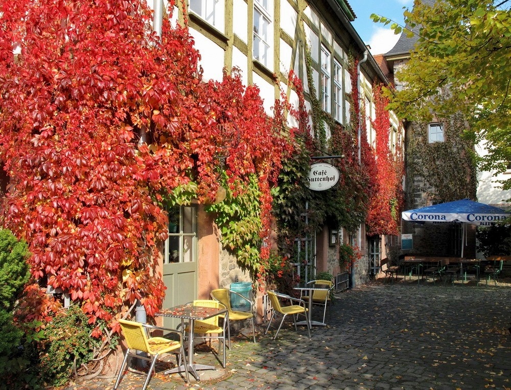 ZUM THEMA: "Zauber des Herbstes"