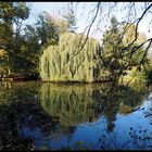 Zum Thema "Zauber des Herbstes"