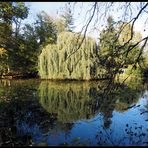 Zum Thema "Zauber des Herbstes"