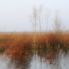 ZUM THEMA: Zauber des Herbstes