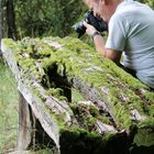 zum Thema:"Zeichen der Zeit"