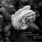 Zum Totensonntag ...