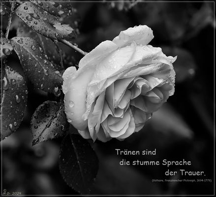 Zum Totensonntag ...