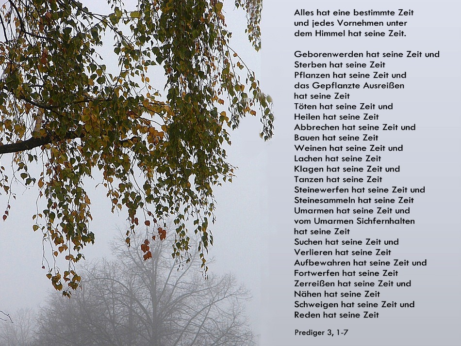 Zum Totensonntag Foto & Bild karten und kalender, feste, spezial