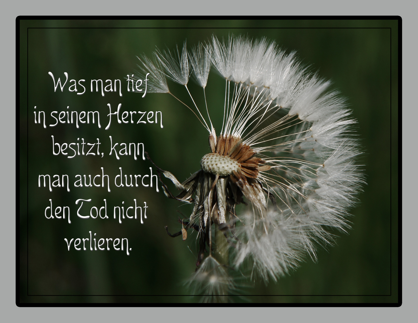 30++ Schoene sprueche zum totensonntag information sprucheygs