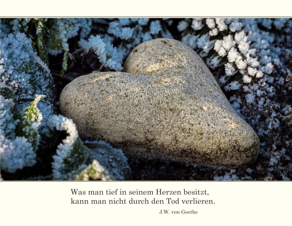 Zum Totensonntag (Ewigkeitssonntag) Foto & Bild spezial, schmerz