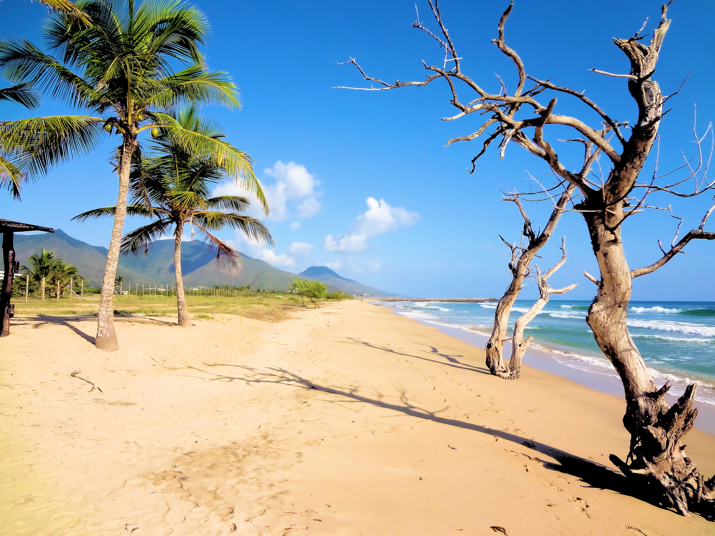 Zum Träumen......da ist noch Platz am Strand!