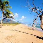 Zum Träumen......da ist noch Platz am Strand!