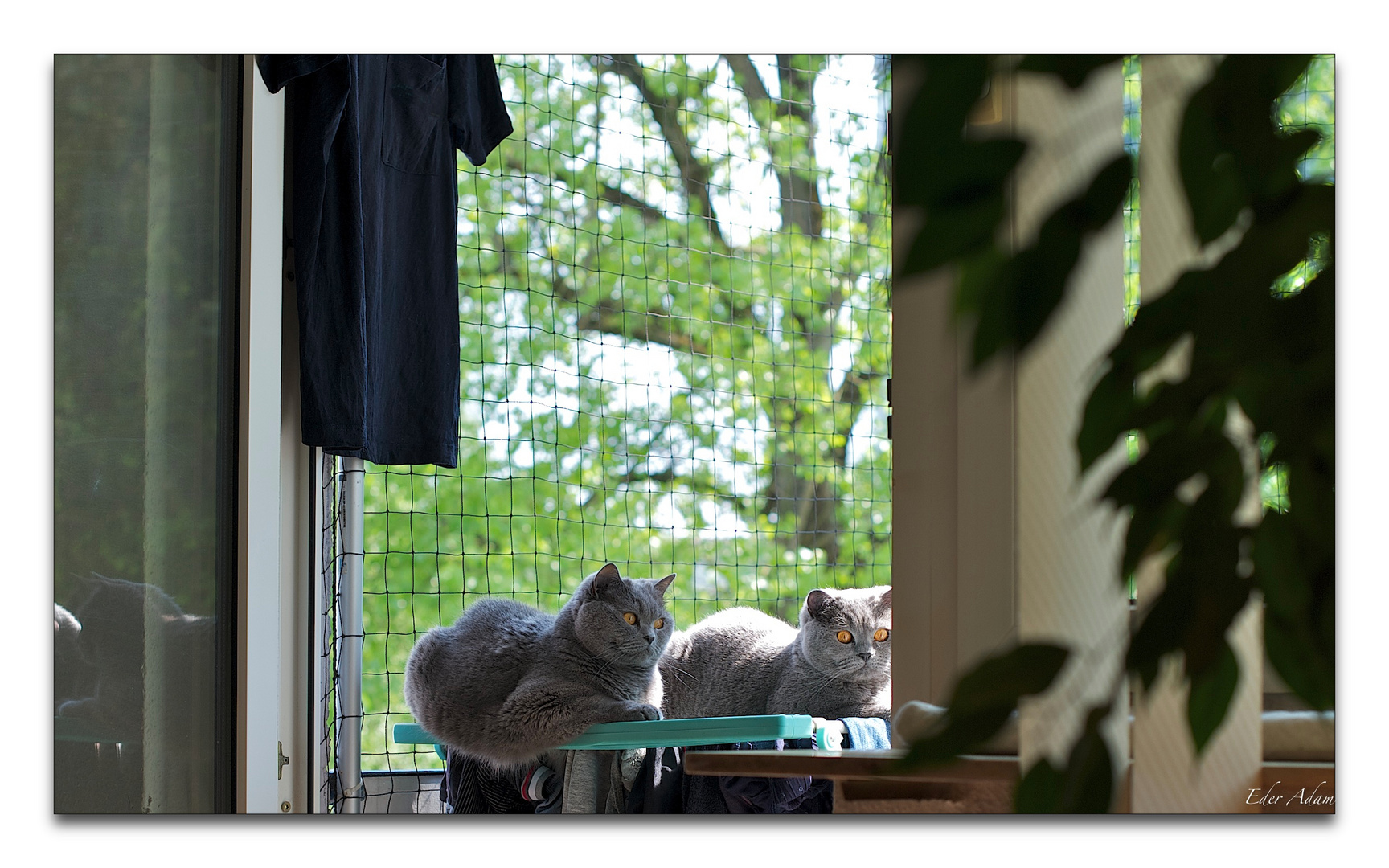 Zum Trocknen am Balkon...