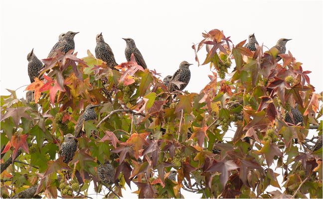 Zum Umbruch bereit....