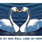 zum Valentinstag