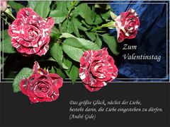 Zum Valentinstag