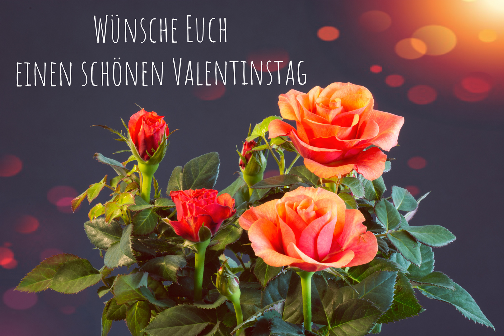 Zum Valentinstag 