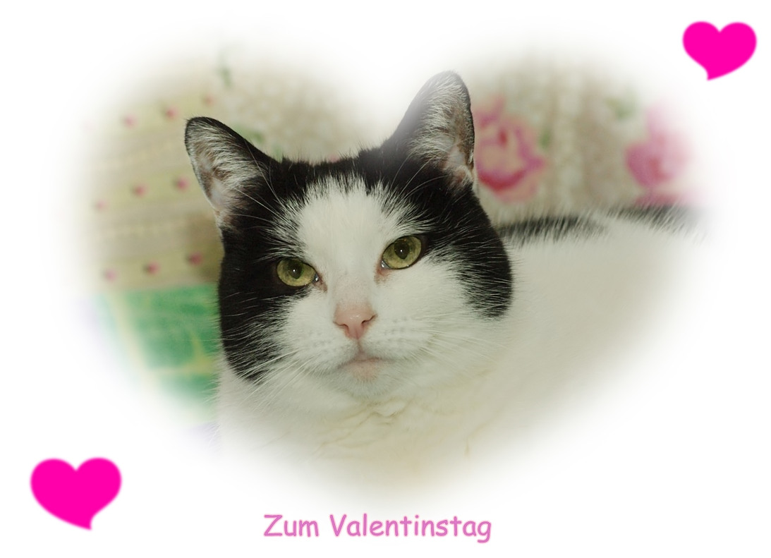 Zum Valentinstag ...