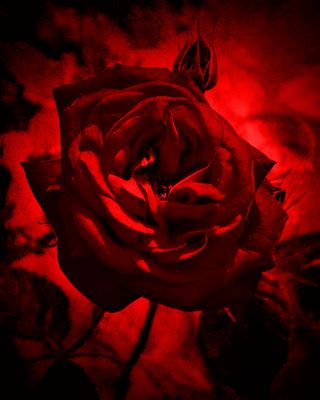 #...Zum Valentinstag......#