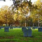 Zum Volkstrauertag-Soldatenfriedhof Hürtgen (Kreis Düren)