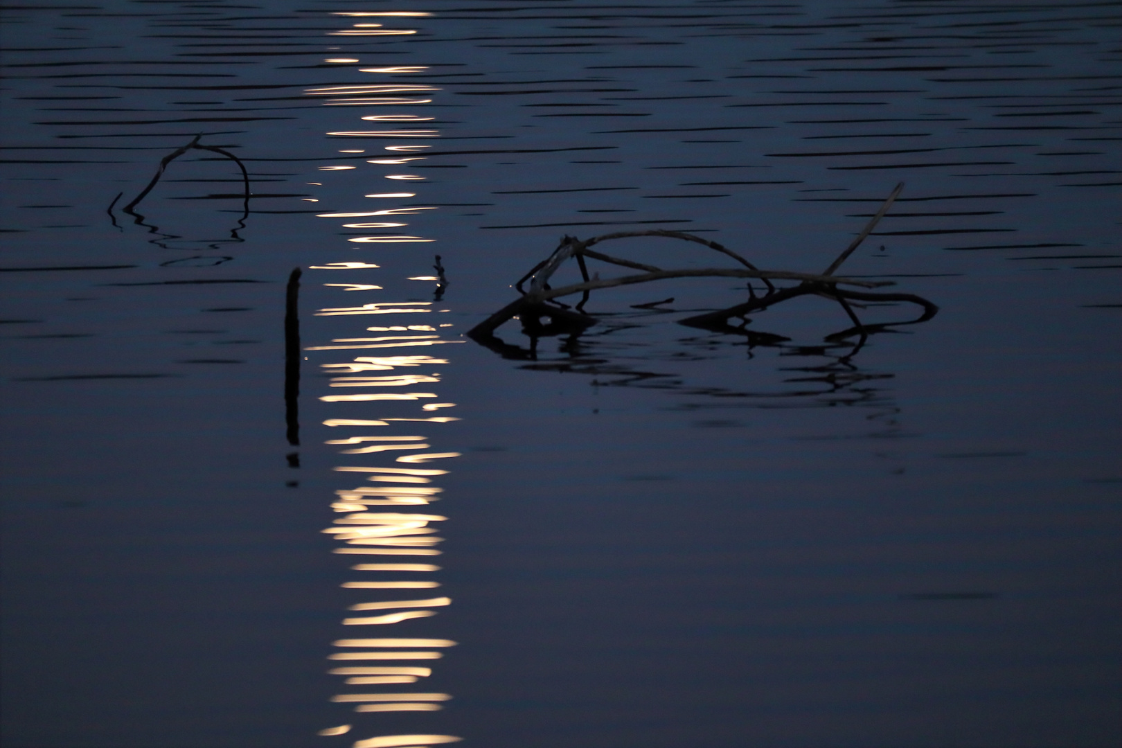 Zum Vollmond im Schwenninger Moos 1