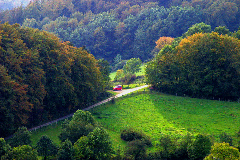 zum wald fahren...