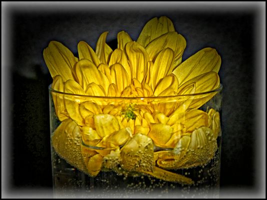 ZUM WEGWERFEN ZU SCHADE....