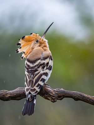 Zum Wetter von heute