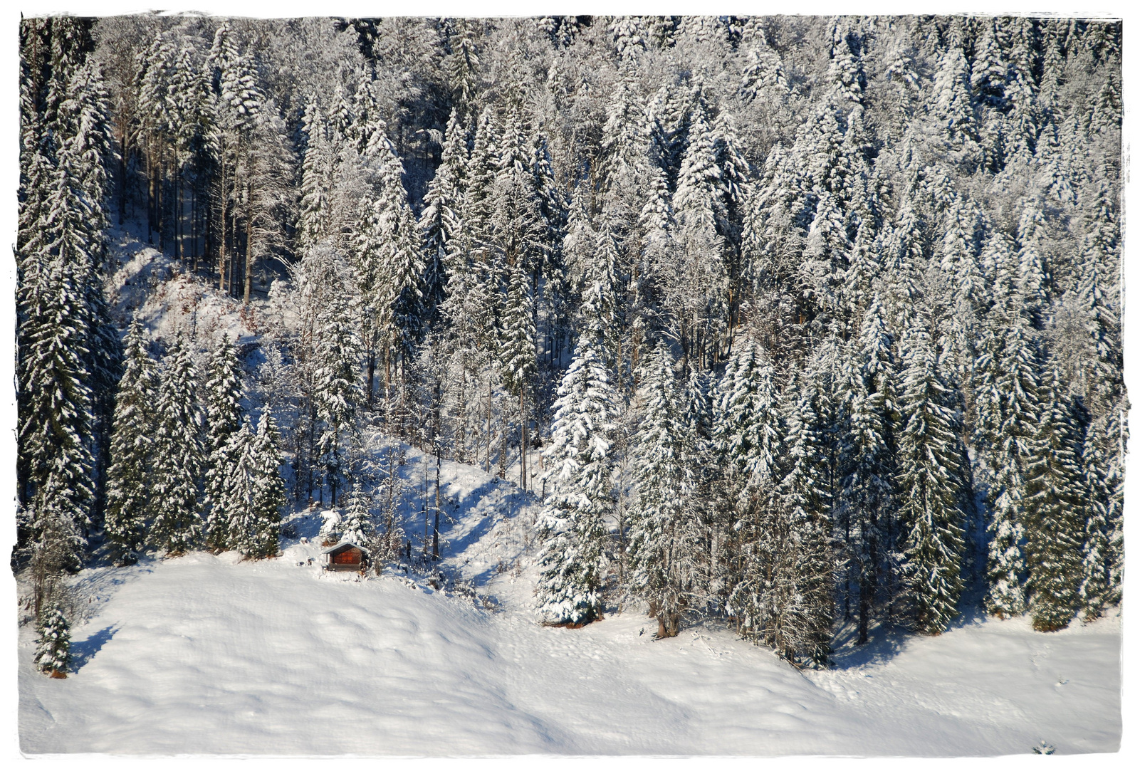 zum Winteranfang - ein Vorgefühl