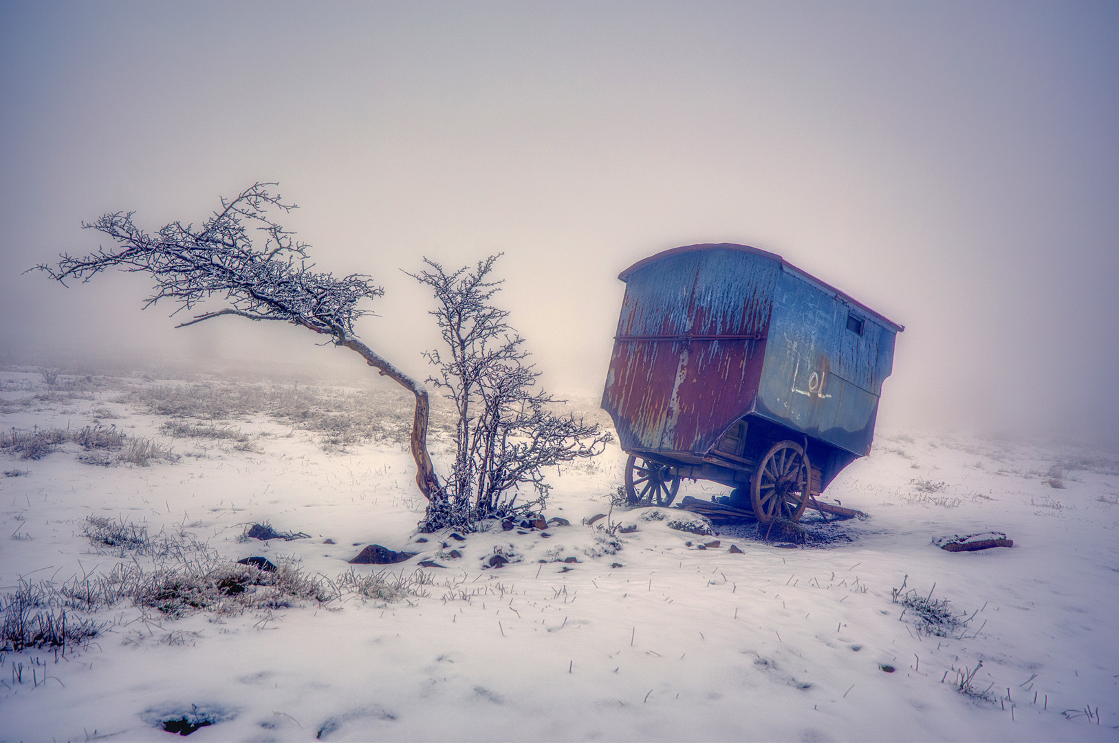 zum Winterende 2020/21 -  der Schäferwagen im Nebel