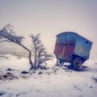 zum Winterende 2020/21 -  der Schäferwagen im Nebel