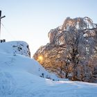 zum Winterende 2021 - noch einmal am Rockenstein