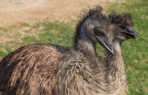 zum Wochenende machen wir uns immer besonders fein - kommen gerade vom Friseur