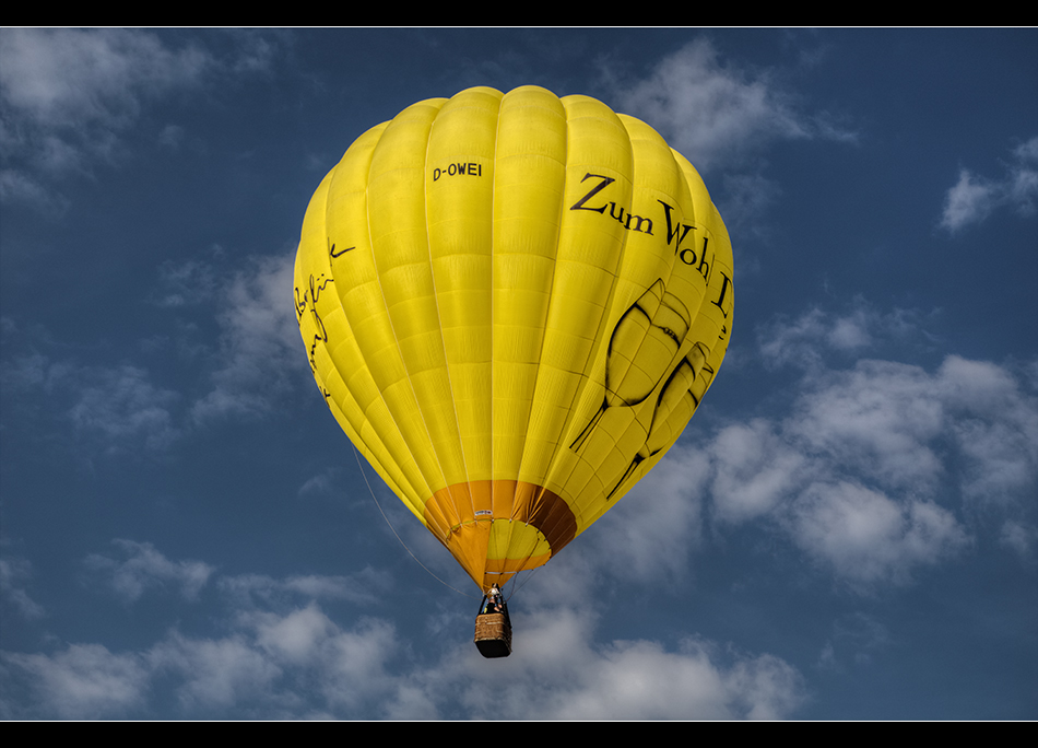 Zum Wohl Die Pfalz - Ballon