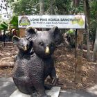 Zum ZahlTag: seit 1927 gibt es in Brisbane das Koala Sanctuary ...