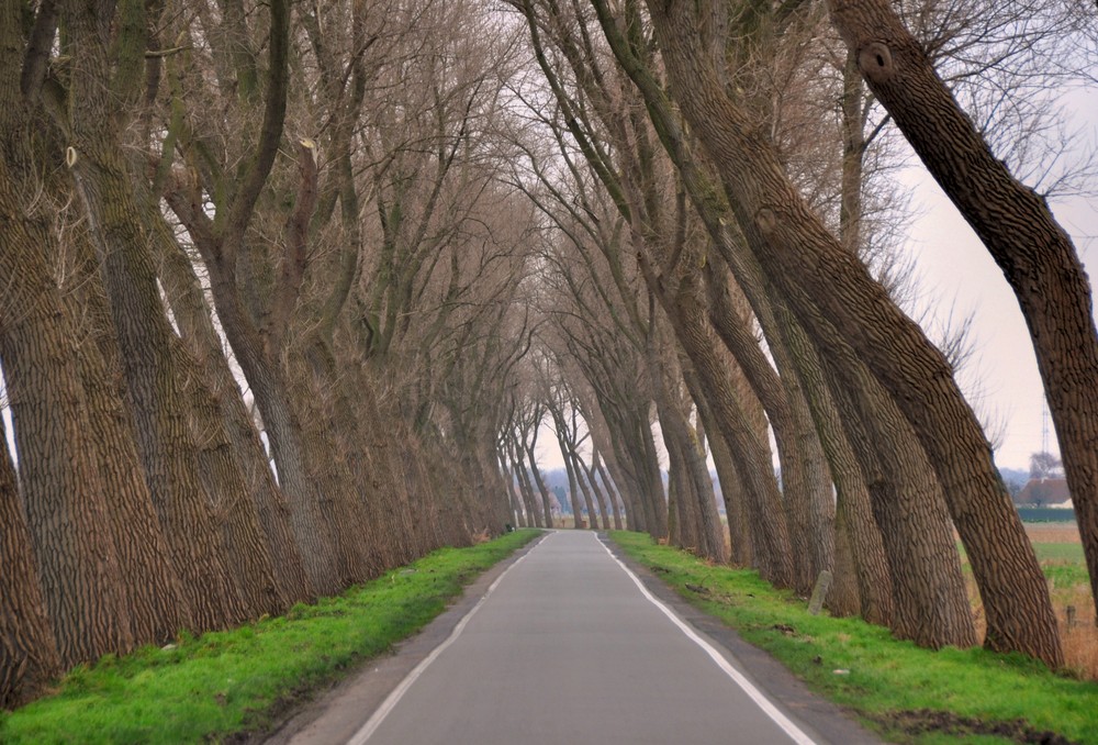 ...zumindest die Straße ist gerade