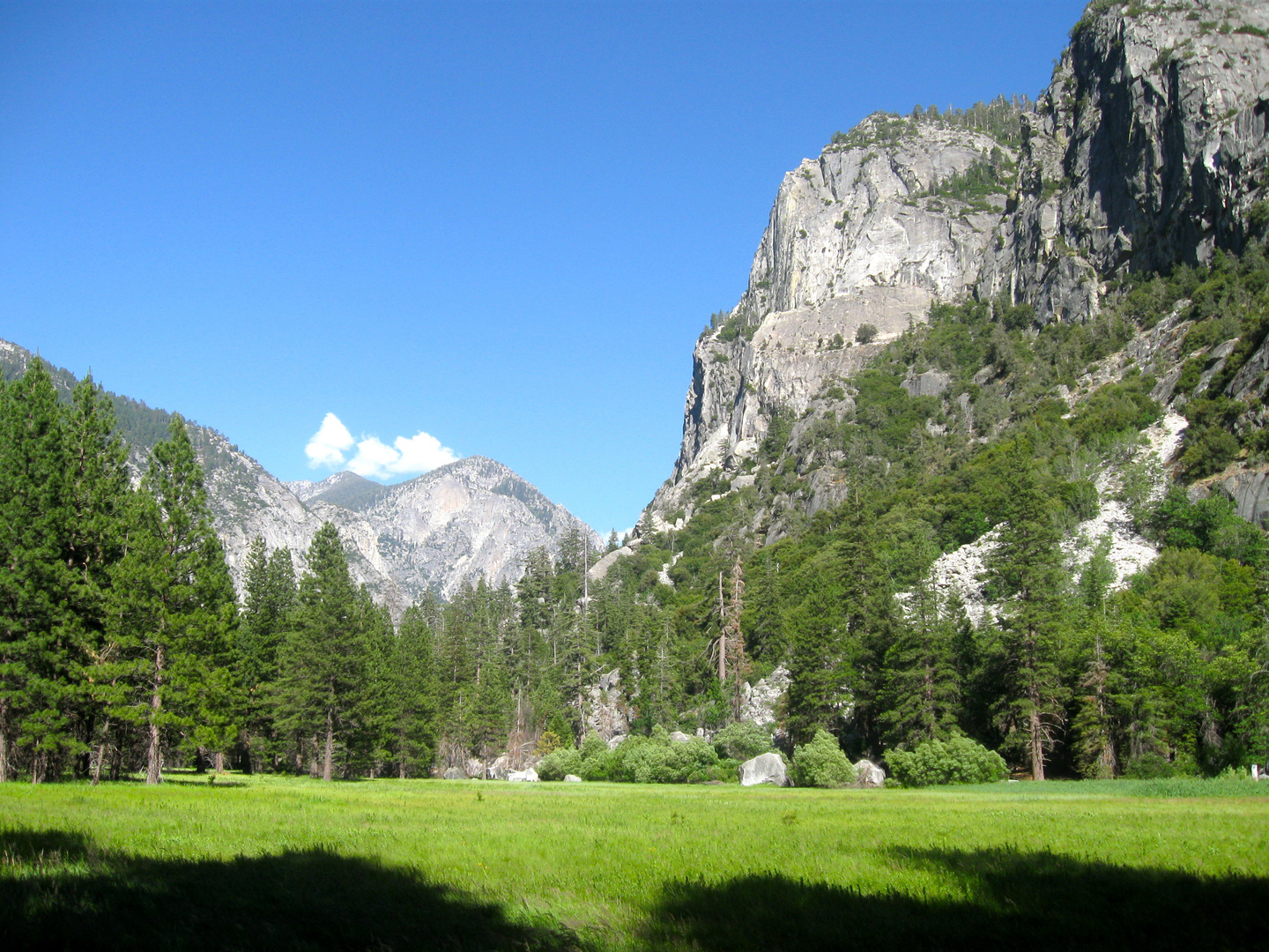 Zumwalt Meadow