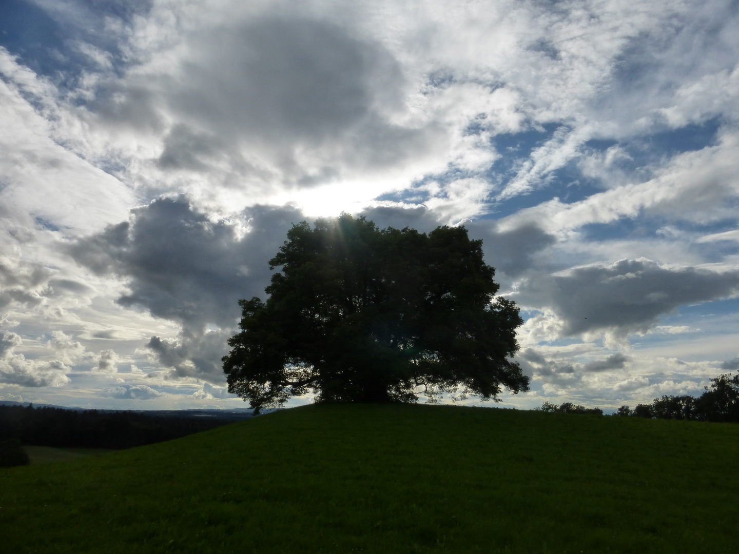 Zundelbacher Linde vor Wolken