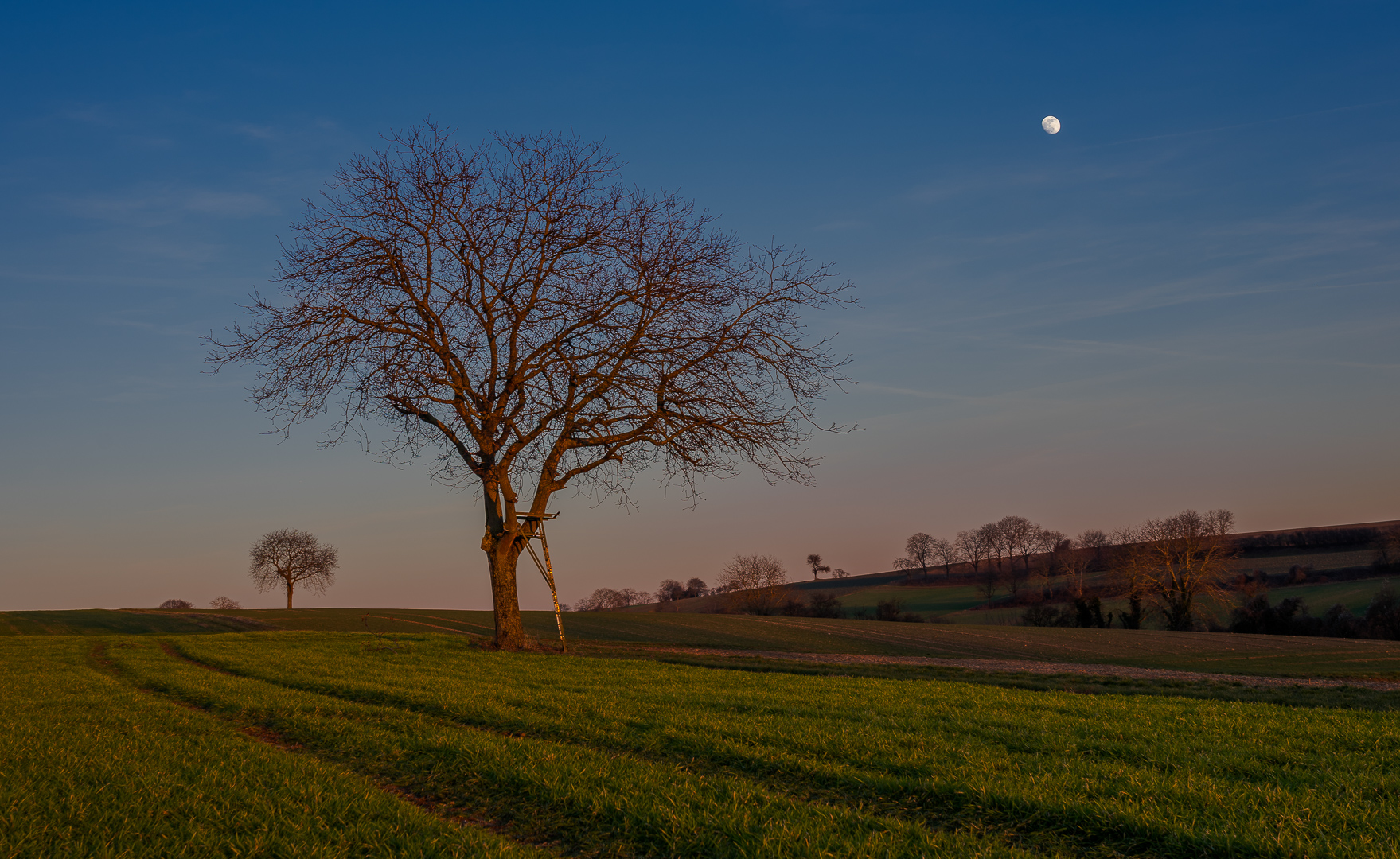 Zunehmender Mond