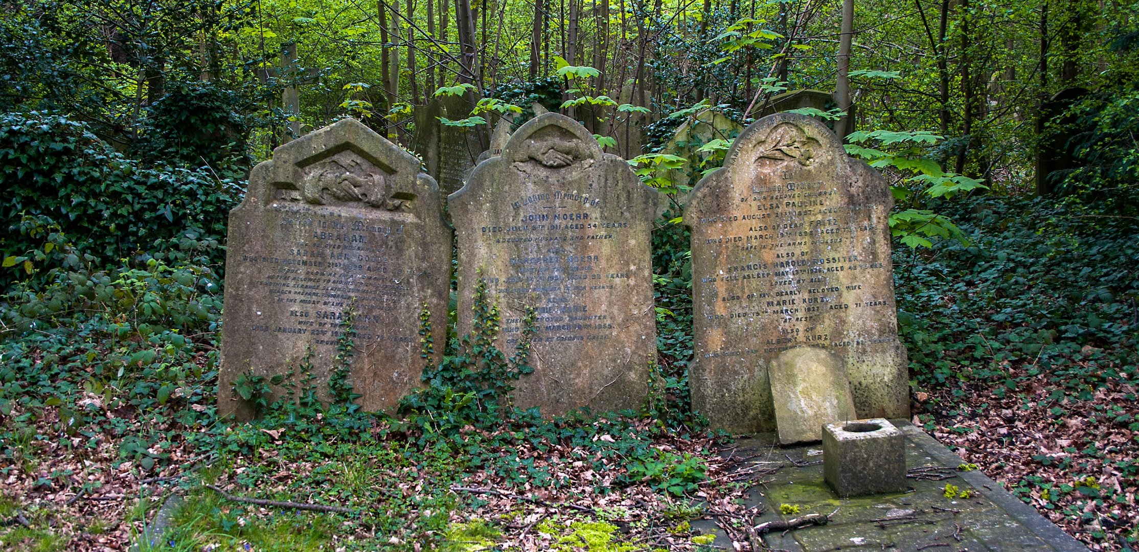Zuneigungsbeweis Zuneigungsbeweis