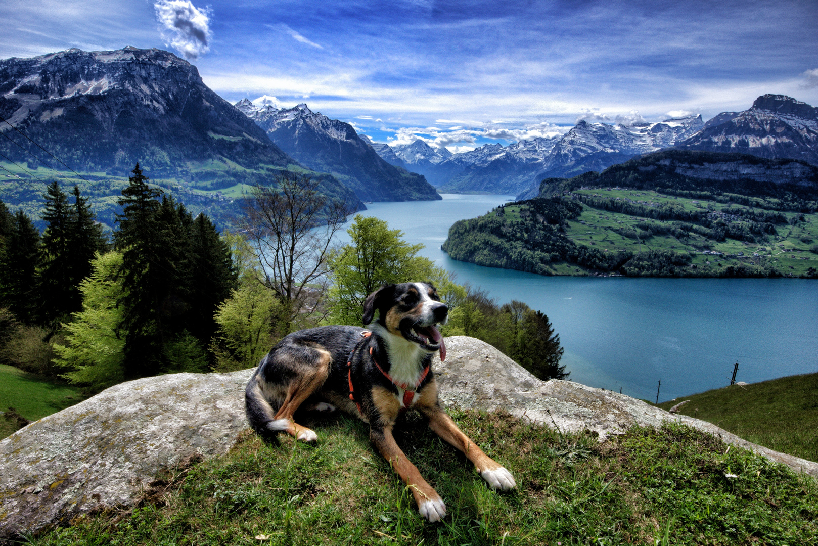 Zunge raus in der Zentralschweiz