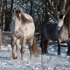 Zunge rausstrecken unter Brüdern