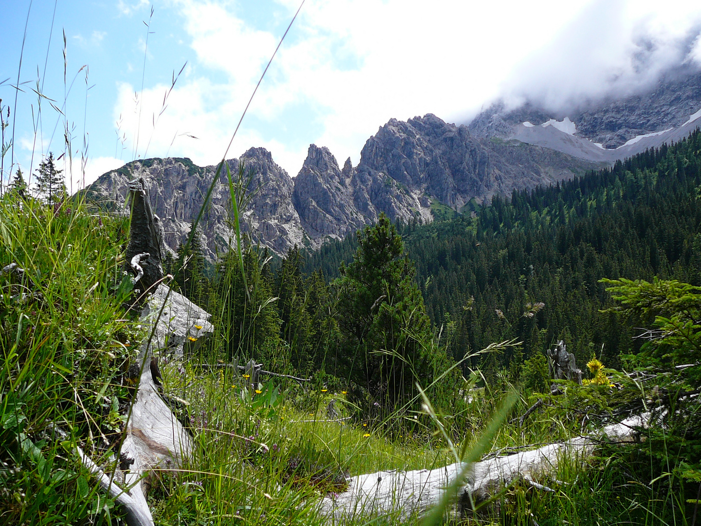 Zunterweidkopf