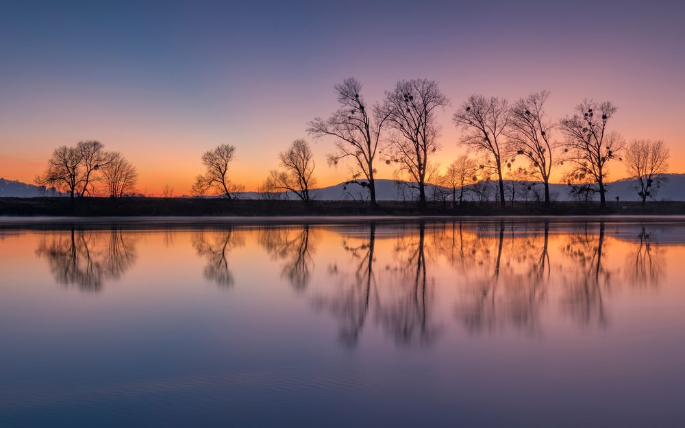 *Zur Abenddämmerung an der Mosel*