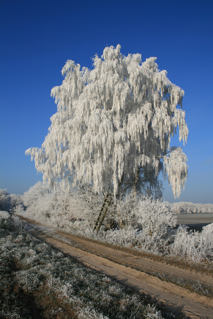 zur Abkühlung: Morgen soll es wieder 30°C werden!