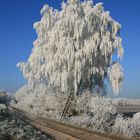 zur Abkühlung: Morgen soll es wieder 30°C werden!