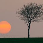 Zur Abwechslung mal ein Sonnenuntergang ...