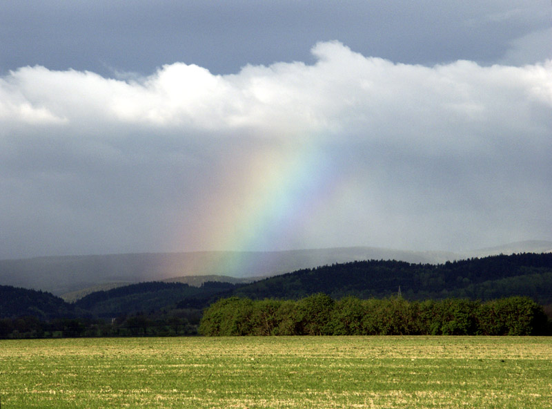 Zur aktuellen Wetterlage...