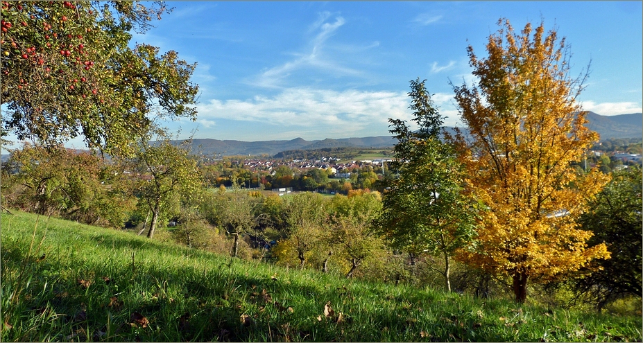 Zur Apfelernte